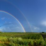 Rainbow slider