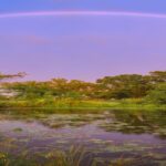 Rainbow bridge